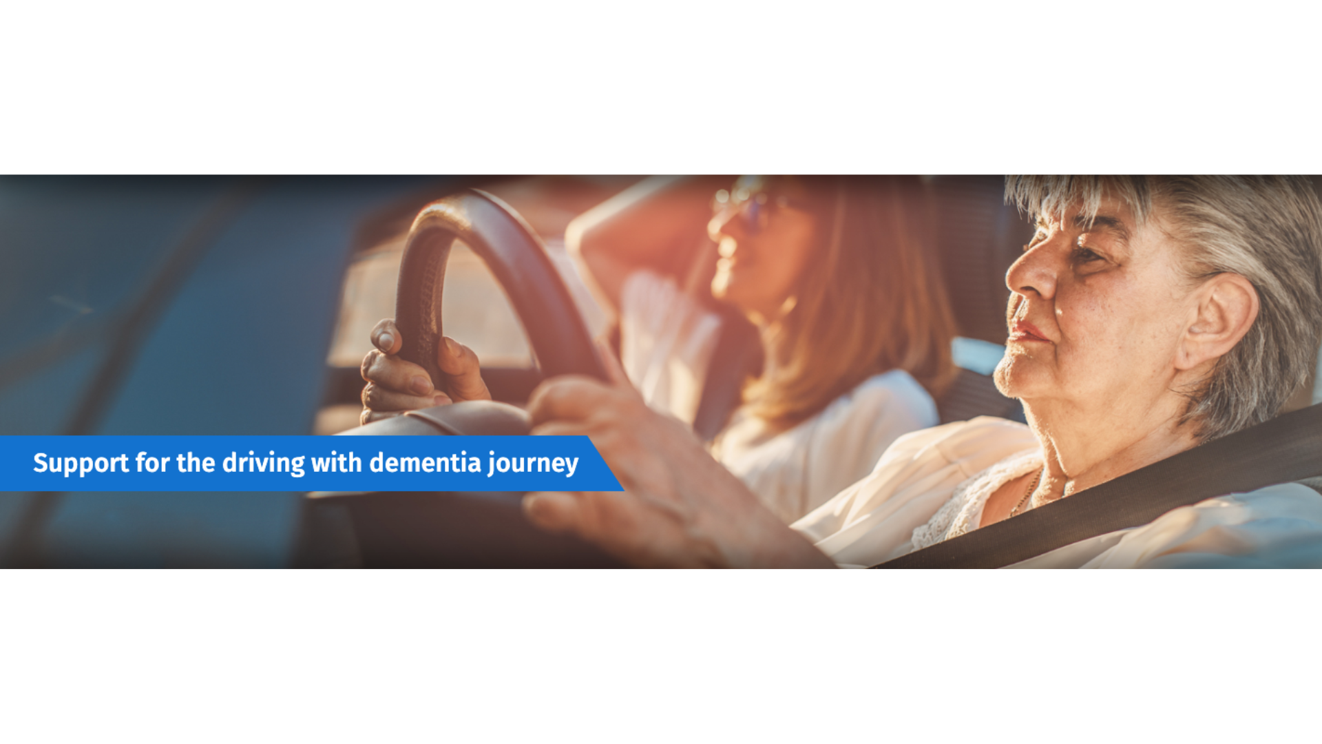 Driving Dementia Roadmap Support For The Driving With Dementia   Driving   Dementia Roadmap 0 